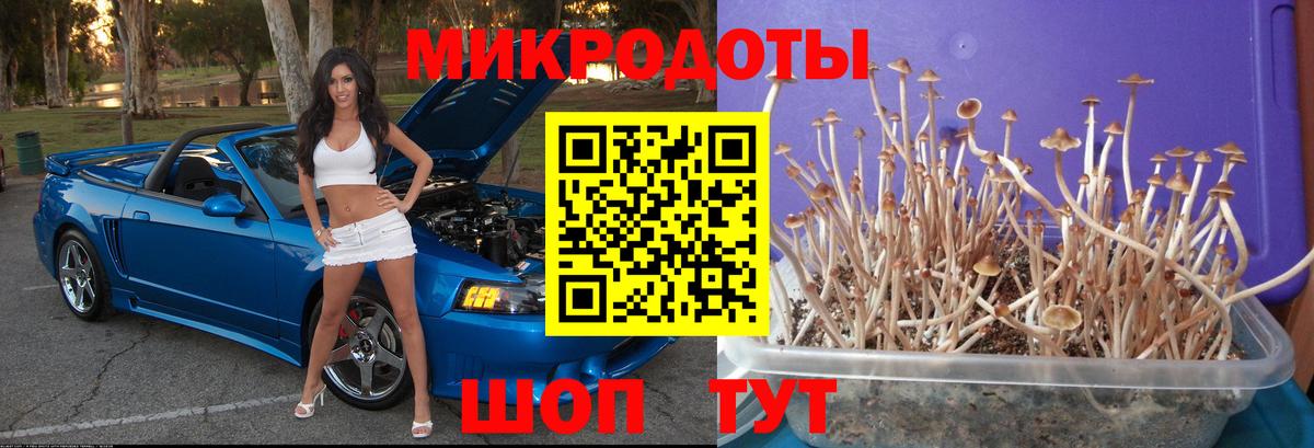 Псилоцибиновые грибы Psilocybine cubensis  как найти наркотики  Будённовск  Вход с VPN  Псилоцибиновые грибы Magic Shrooms 
