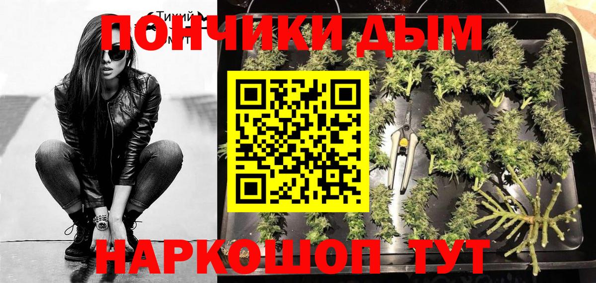 Бошки марихуана SATIVA & INDICA  МАРИХУАНА конопля  Вход с VPN  Бошки Шишки SATIVA & INDICA  Будённовск 